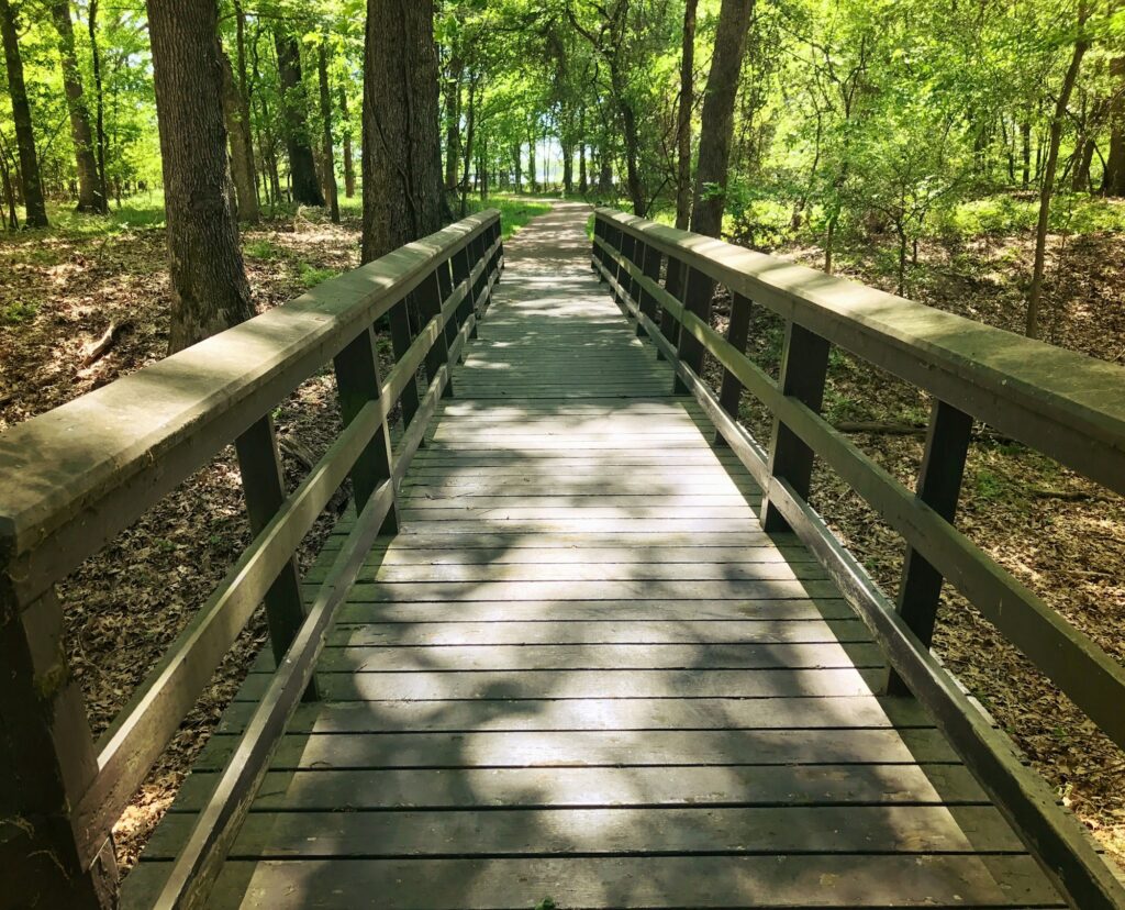 Boardwalk